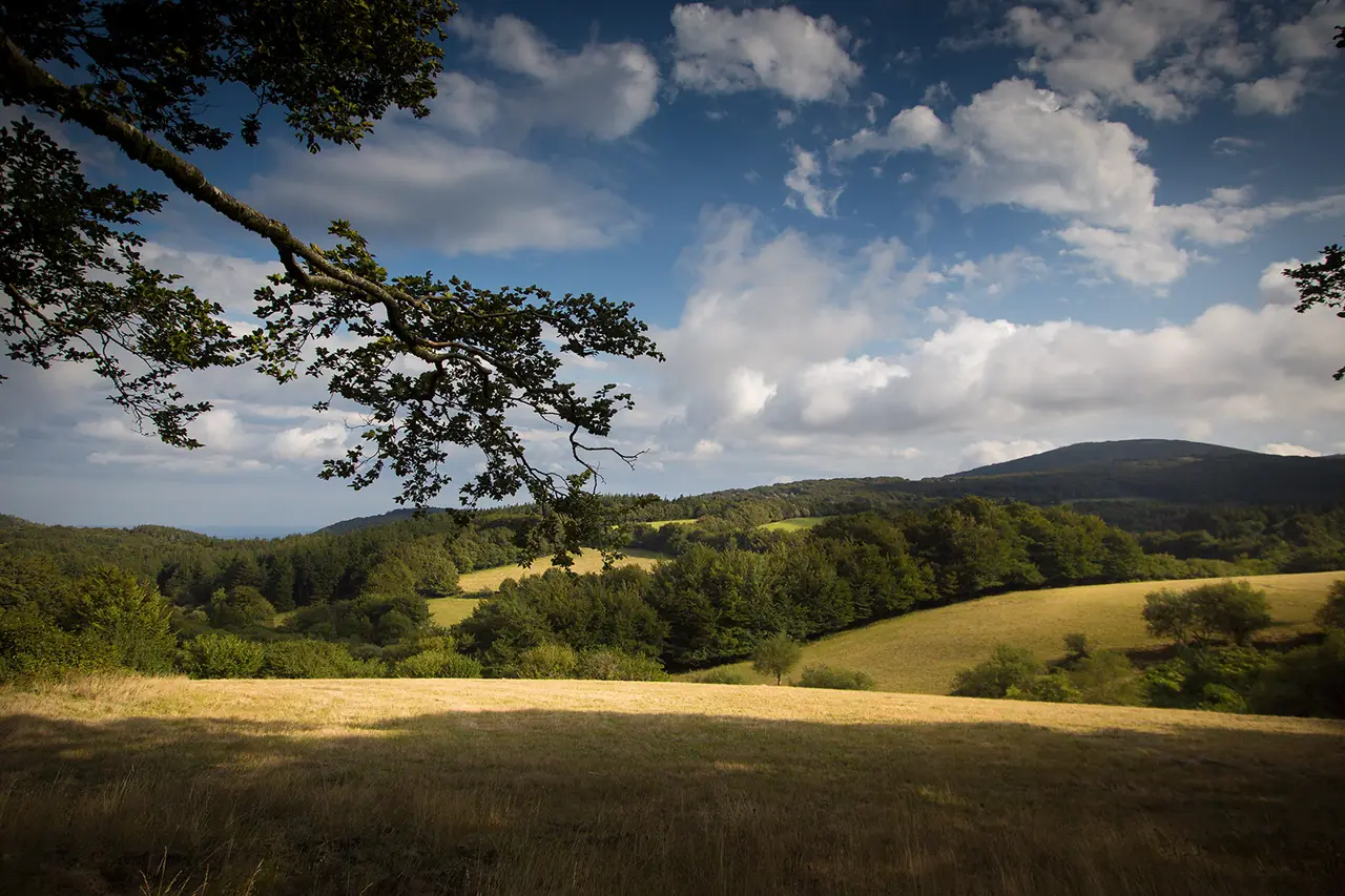 The valley below the house in late-summer light, long shadows across the meadow, big clouds overhead.